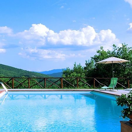 Agriturismo Badia Ficarolo Palazzo del Pero Exteriér fotografie