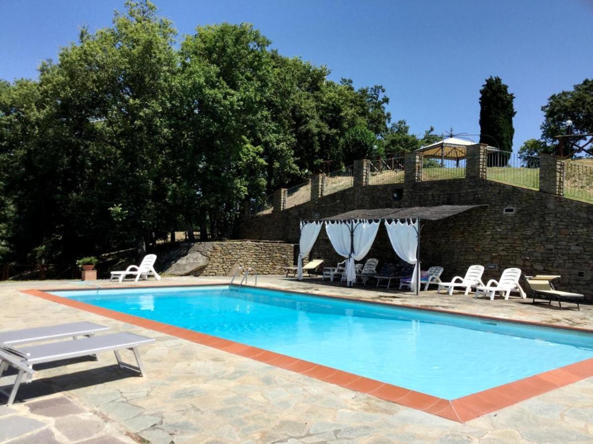 Agriturismo Badia Ficarolo Palazzo del Pero Exteriér fotografie