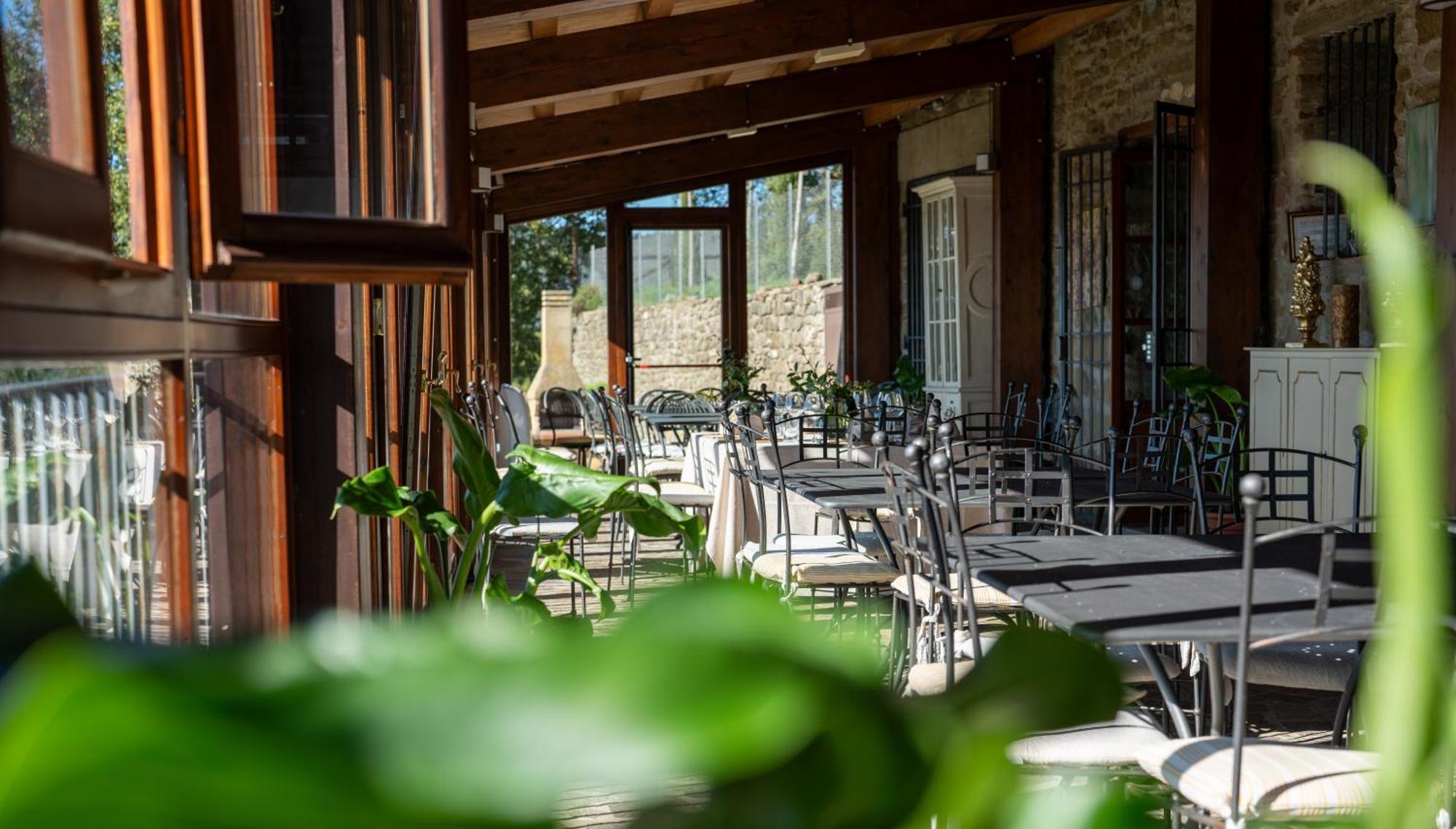 Agriturismo Badia Ficarolo Palazzo del Pero Exteriér fotografie