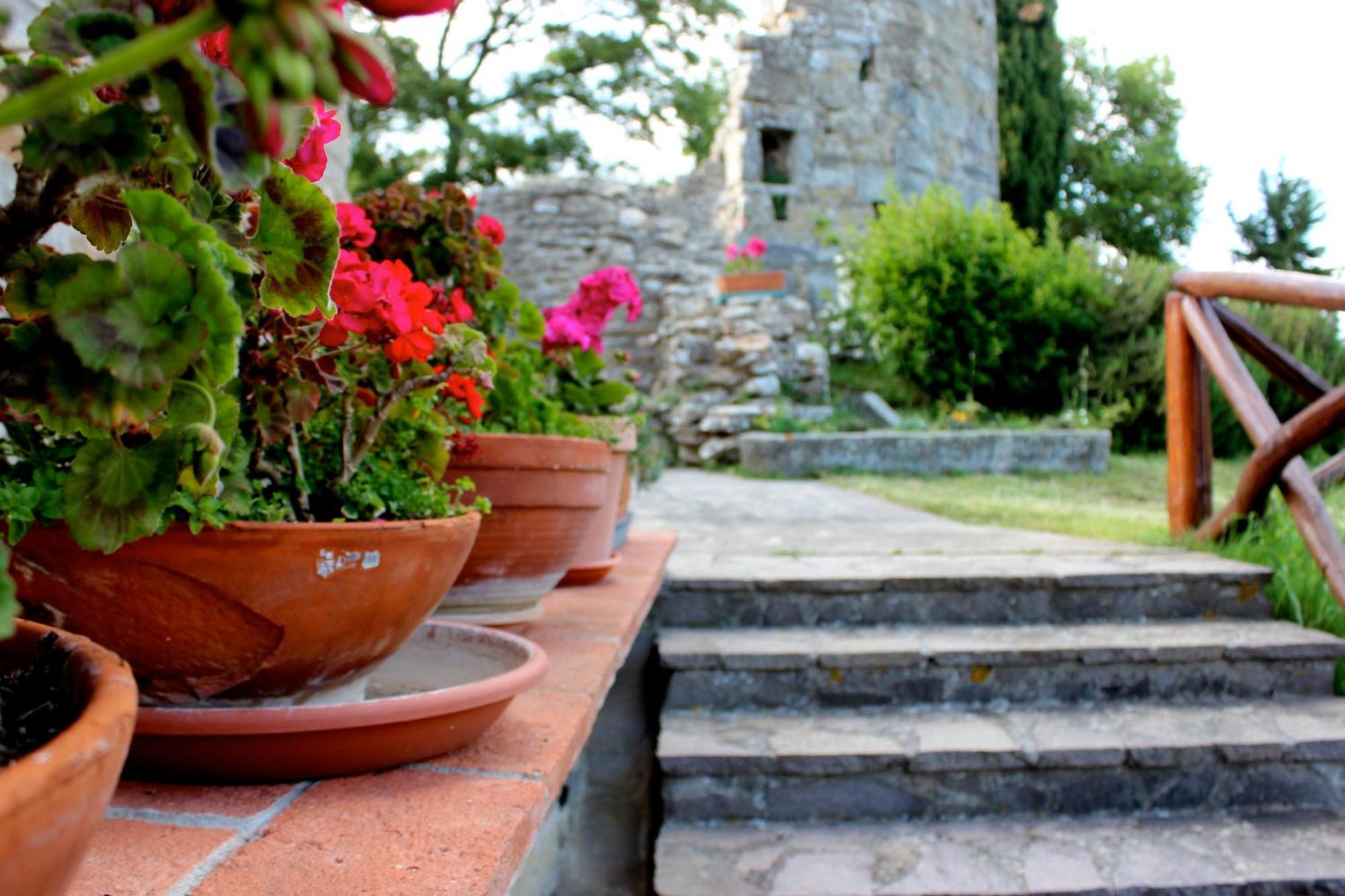 Agriturismo Badia Ficarolo Palazzo del Pero Exteriér fotografie